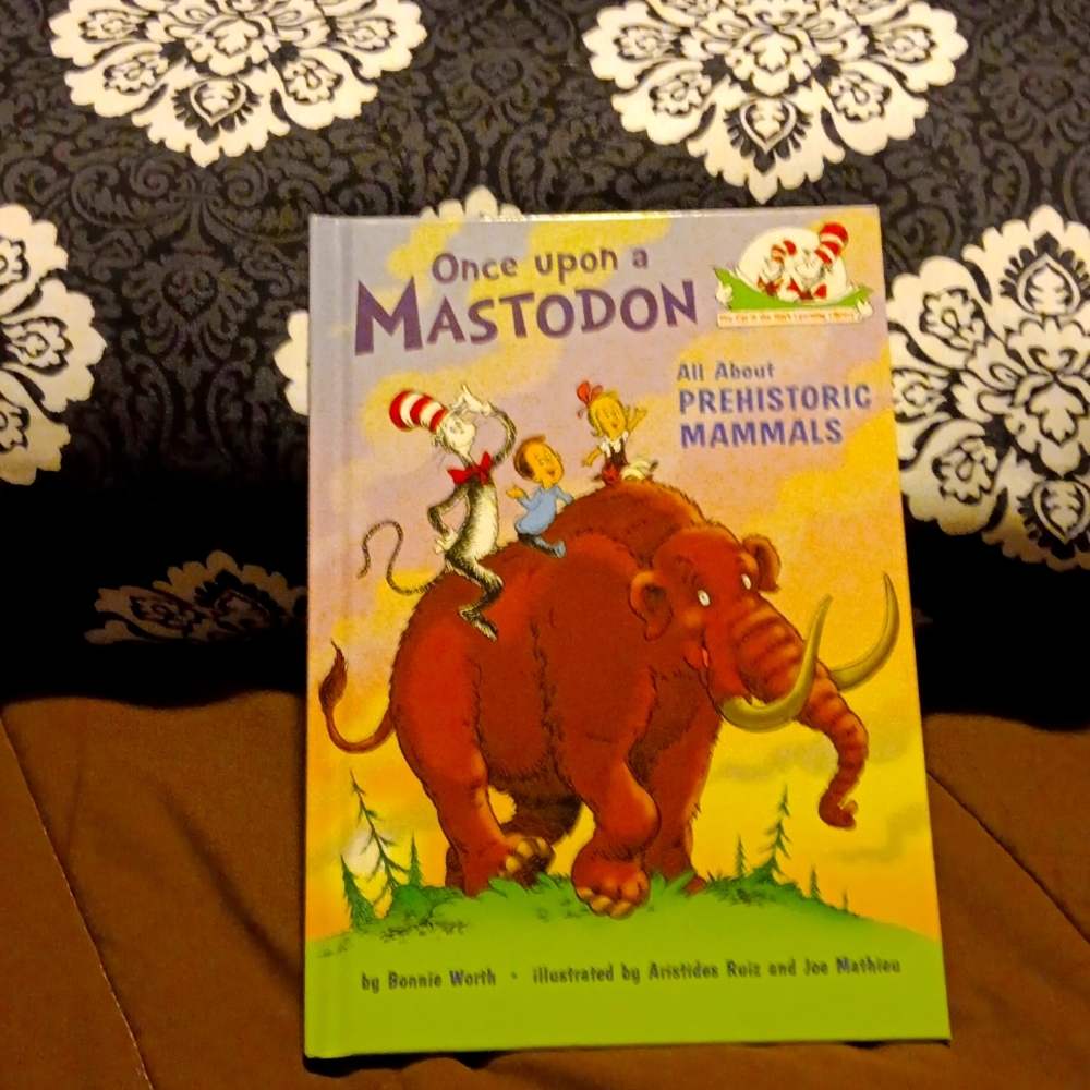 Children's book